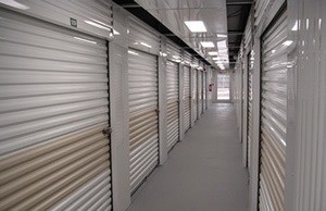 Janus 650 Self Storage Door